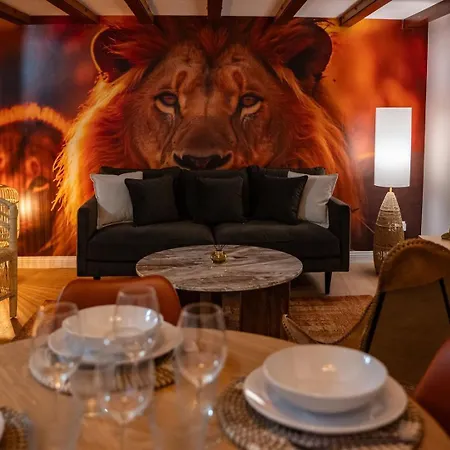 Le Savane - Grand Triplex 2 Salons Chaleureux Apartment Castres (Tarn)