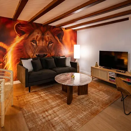 Le Savane - Grand Triplex 2 Salons Chaleureux Castres (Tarn)