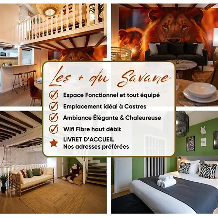 Apartment Le Savane - Grand Triplex 2 Salons Chaleureux