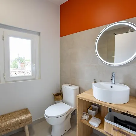 Le Savane - Grand Triplex Climatise, 2 Salons Appartement Castres (Tarn)