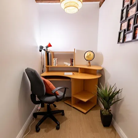 Le Savane - Grand Triplex Confort & Chaleureux, 2 Salons * Castres (Tarn)