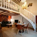 Le Savane - Grand Triplex Confort & Chaleureux, 2 Salons Castres (Tarn)