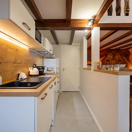 Le Savane - Grand Triplex, Climatise, 2 Salons