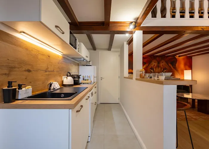 Le Savane - Grand Triplex Confort & Chaleureux, 2 Salons